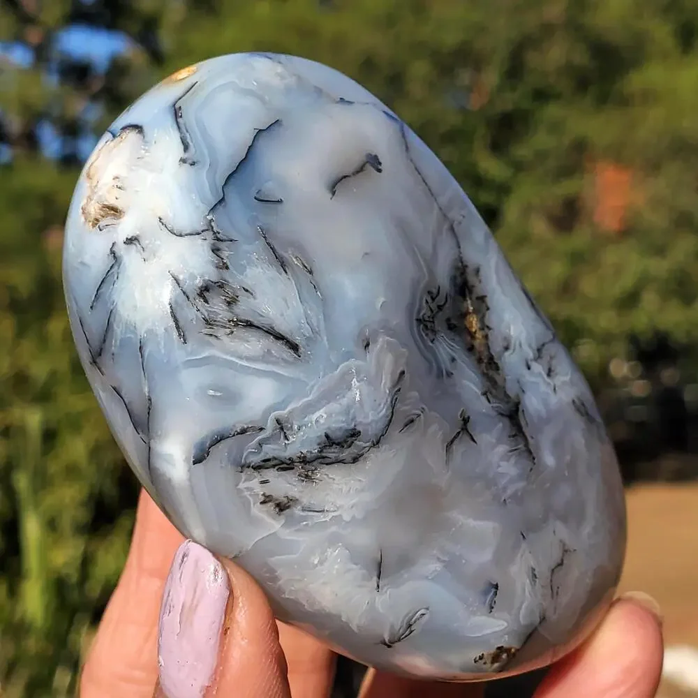 Dendritic Agate Multi-Color Pattern Translucent Freeform Crystal 258 Grams